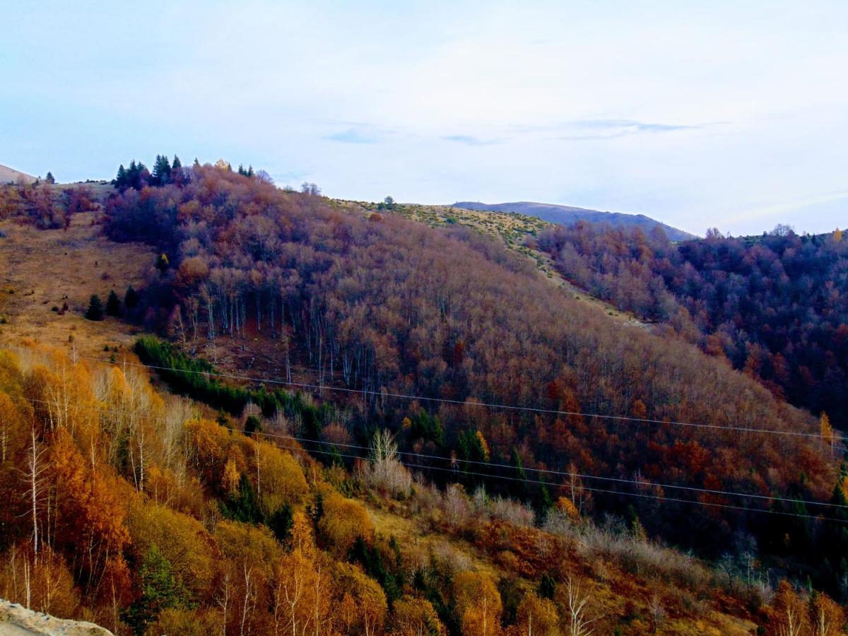Sunny Days Apartman Kopaonik Exterior foto
